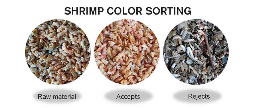 seafood color sorter