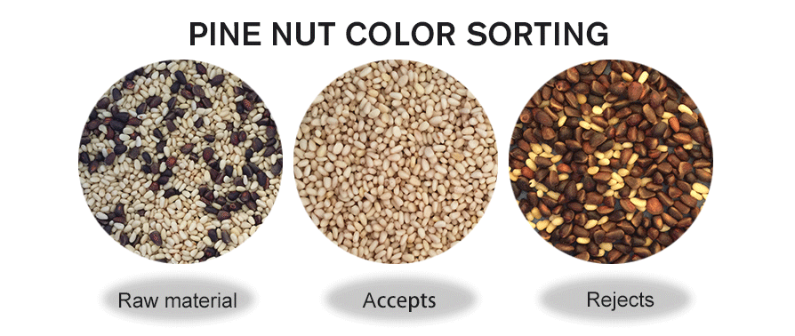 nuts color sorter