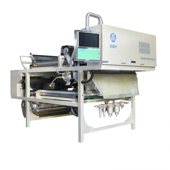 Glass Cullet Sorting Machine
